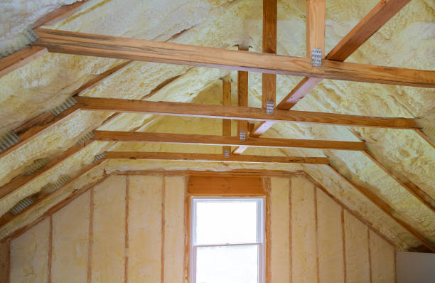 Best Insulation Installation Services in Hoback, WY